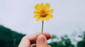 用什么可以去除狐臭